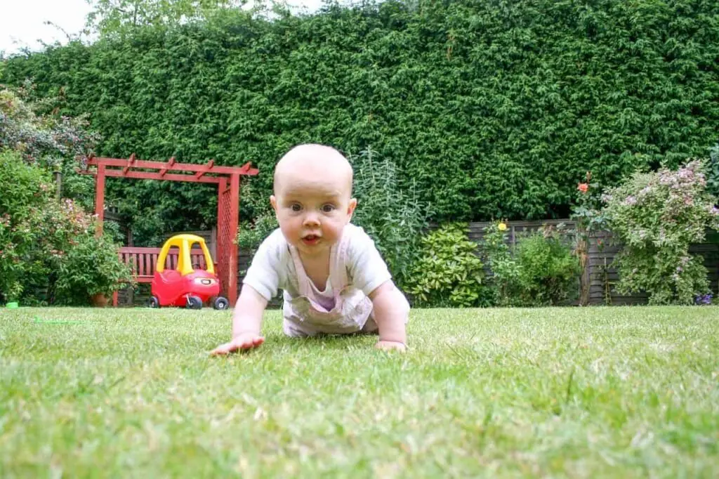 Best Way to Teach Baby to Crawl on Hands and Knees