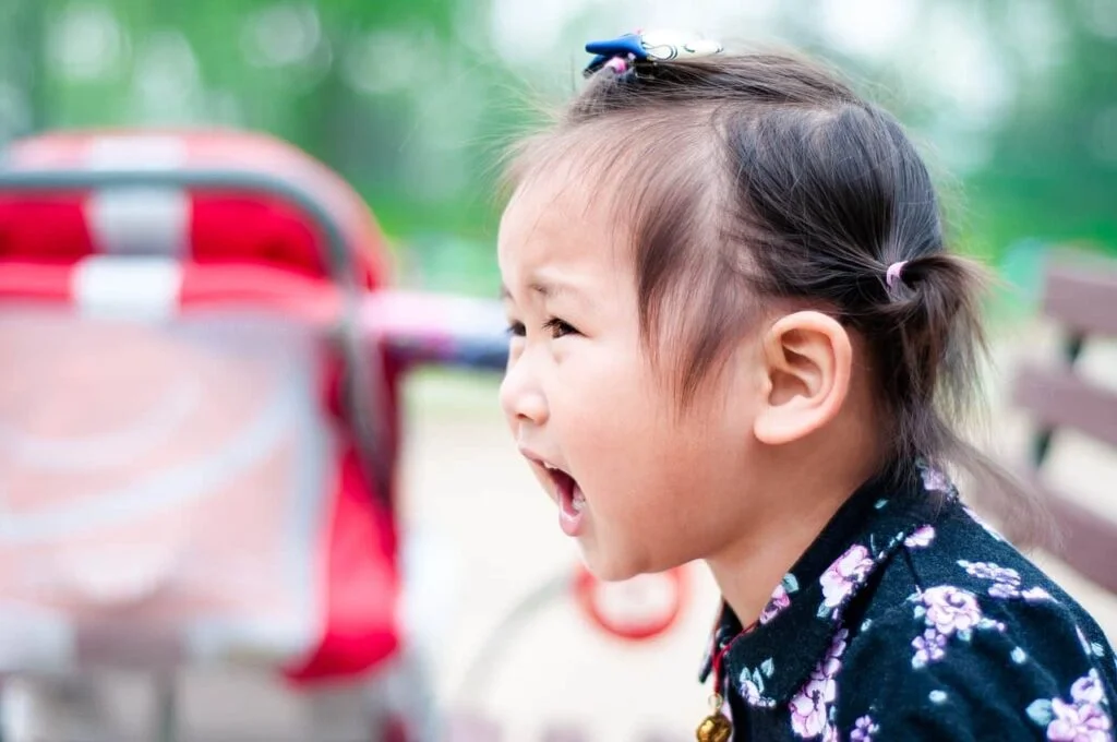 Toddlers throw tantrums if they are overstimulated by someone or something